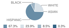 Gonzales East Avenue Primary School Student Race Distribution