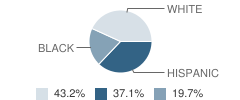 Goodrich Elementary School Student Race Distribution