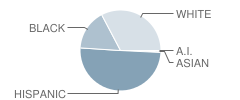 Cedar Bayou Junior High School Student Race Distribution