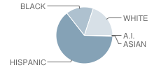 Lee High School Student Race Distribution