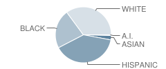 Gentry Junior High School Student Race Distribution