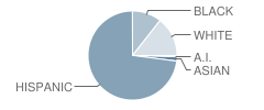 Grand Prairie High School Student Race Distribution