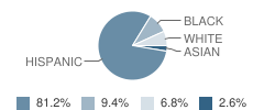 Sam Rayburn Elementary School Student Race Distribution