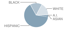 Zavala Elementary School Student Race Distribution