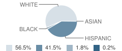 Grape Creek Elementary School Student Race Distribution