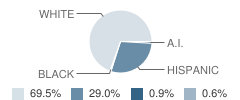 Grape Creek High School Student Race Distribution