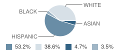 Cannon Elementary School Student Race Distribution