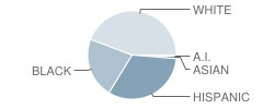 Greenville Middle School Student Race Distribution