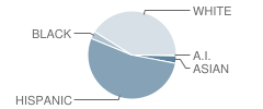 Andrews Elementary School Student Race Distribution