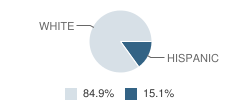 Guthrie School Student Race Distribution