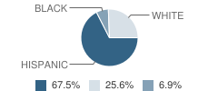 Hale Center High School Student Race Distribution