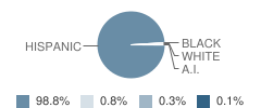 Stonewall / Flanders Elementary School Student Race Distribution