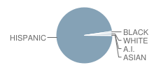 Harlandale High School Student Race Distribution