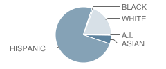 Treasure Hills Elementary School Student Race Distribution