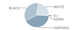 Hempstead High School Student Race Distribution