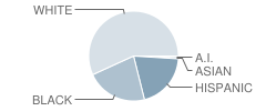 Henderson High School Student Race Distribution