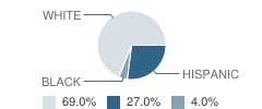 Holland Elementary School Student Race Distribution