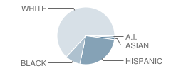 Bowman Middle School Student Race Distribution