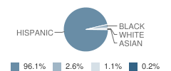 Jackson Middle School Student Race Distribution