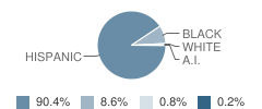 Looscan Elementary School Student Race Distribution