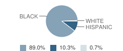 Rhoads Elementary School Student Race Distribution