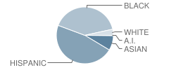 Rice School Student Race Distribution