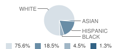 Hudson Middle School Student Race Distribution