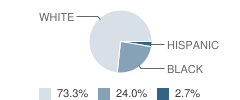 Hull-Daisetta Junior High School Student Race Distribution