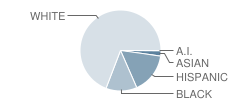 Pineforest Elementary School Student Race Distribution