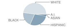 Oak Forest Elementary School Student Race Distribution