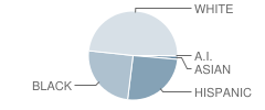 Huntsville Intermediate School Student Race Distribution