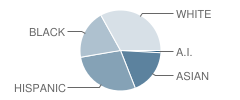 Euless Junior High School Student Race Distribution