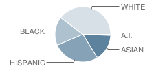 North Euless Elementary School Student Race Distribution