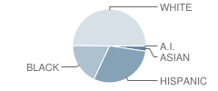 Hutto High School Student Race Distribution