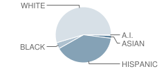 Ingleside High School Student Race Distribution