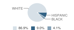 Iola Elementary School Student Race Distribution