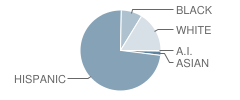 Brandenburg Elementary School Student Race Distribution