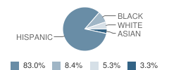 Schulze Elementary School Student Race Distribution