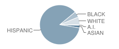 Austin Middle School Student Race Distribution