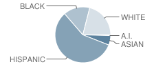 Travis Middle School Student Race Distribution