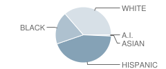 Jacksonville Middle School Student Race Distribution