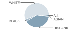 Jarrell High School Student Race Distribution