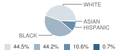 J H Rowe Intermediate School Student Race Distribution