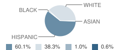 Jourdanton Junior High School Student Race Distribution