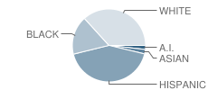 Coronado Village Elementary School Student Race Distribution