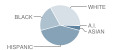 Kitty Hawk Middle School Student Race Distribution