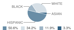 Ed Franz Elementary School Student Race Distribution