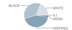 Elolf Elementary School Student Race Distribution