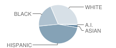 Miller Point Elementary School Student Race Distribution