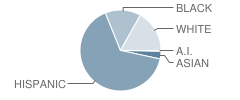 Sundown Elementary School Student Race Distribution